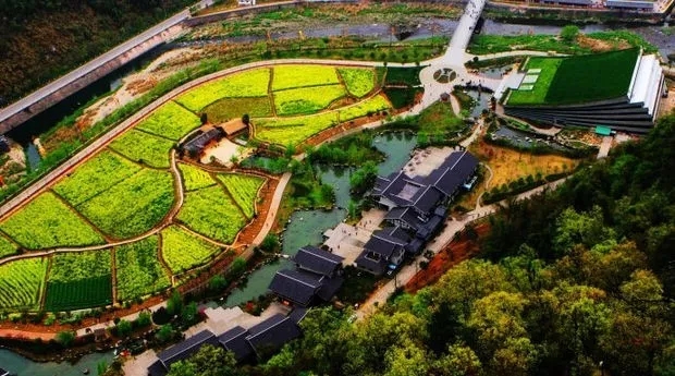 亚洲熟妇丰满大屁股熟妇