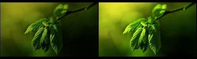 亚洲熟妇丰满大屁股熟妇