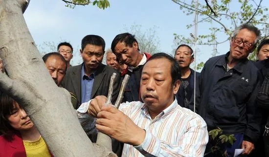 亚洲熟妇丰满大屁股熟妇