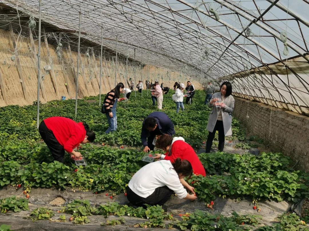 亚洲熟妇丰满大屁股熟妇