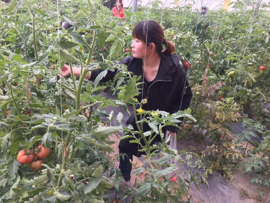 亚洲熟妇丰满大屁股熟妇