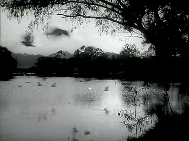 亚洲熟妇丰满大屁股熟妇