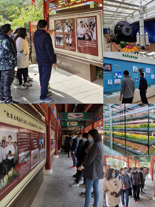 亚洲熟妇丰满大屁股熟妇