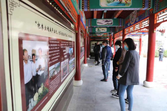 亚洲熟妇丰满大屁股熟妇