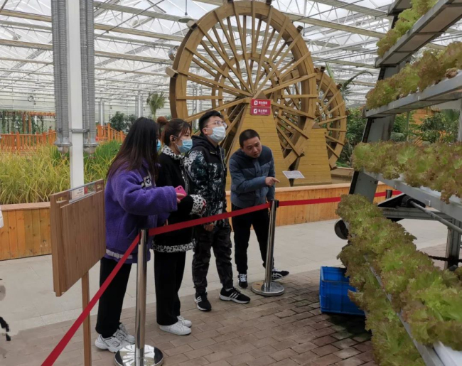 亚洲熟妇丰满大屁股熟妇