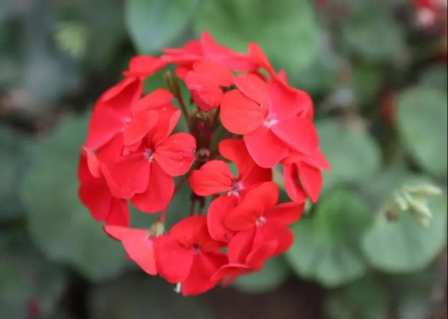 亚洲熟妇丰满大屁股熟妇