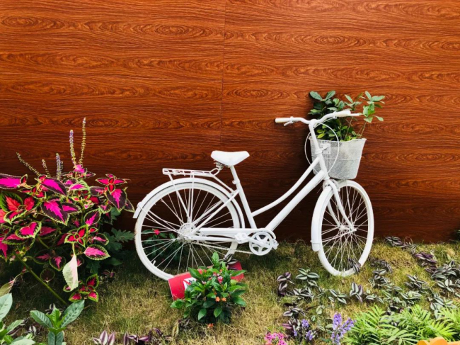 亚洲熟妇丰满大屁股熟妇