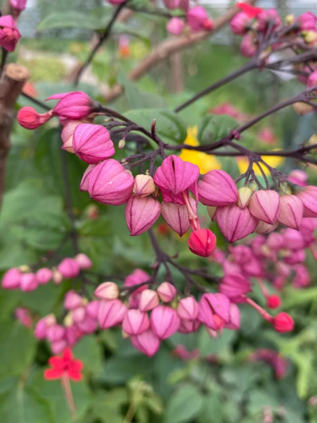 亚洲熟妇丰满大屁股熟妇