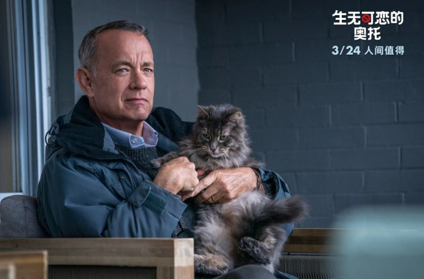 亚洲熟妇丰满大屁股熟妇