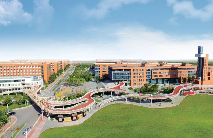 亚洲熟妇丰满大屁股熟妇