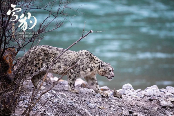 亚洲熟妇丰满大屁股熟妇